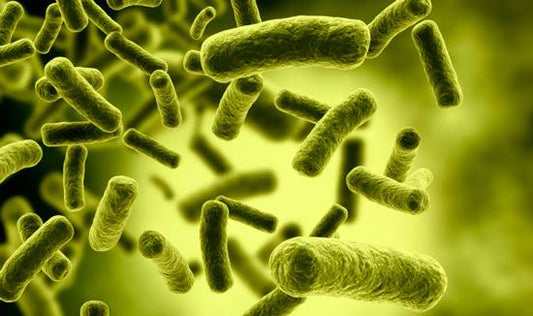 Can probiotic use reduce antibiotic prescriptions?