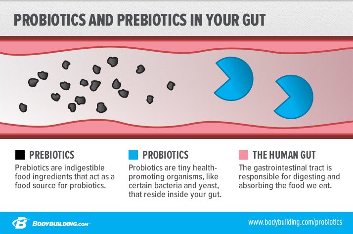 What is the difference between Prebiotics and Probiotics?