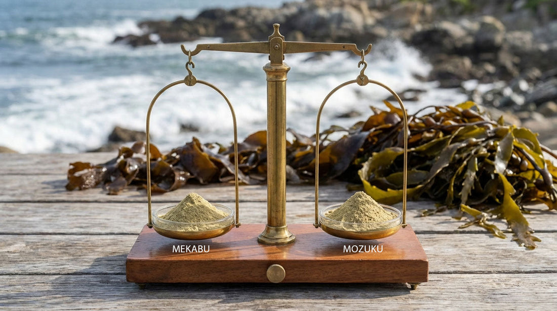 Mekabu vs. Mozuku: Why All Fucoidan Is Not Created Equal